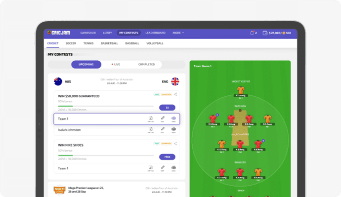 Fantasy Leagues